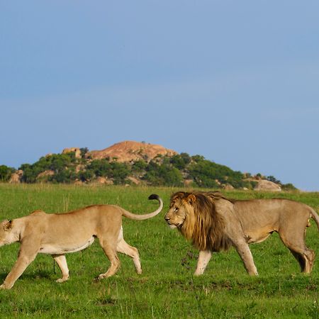 Nkomazi Game Reserve By Newmark Badplaas Zewnętrze zdjęcie
