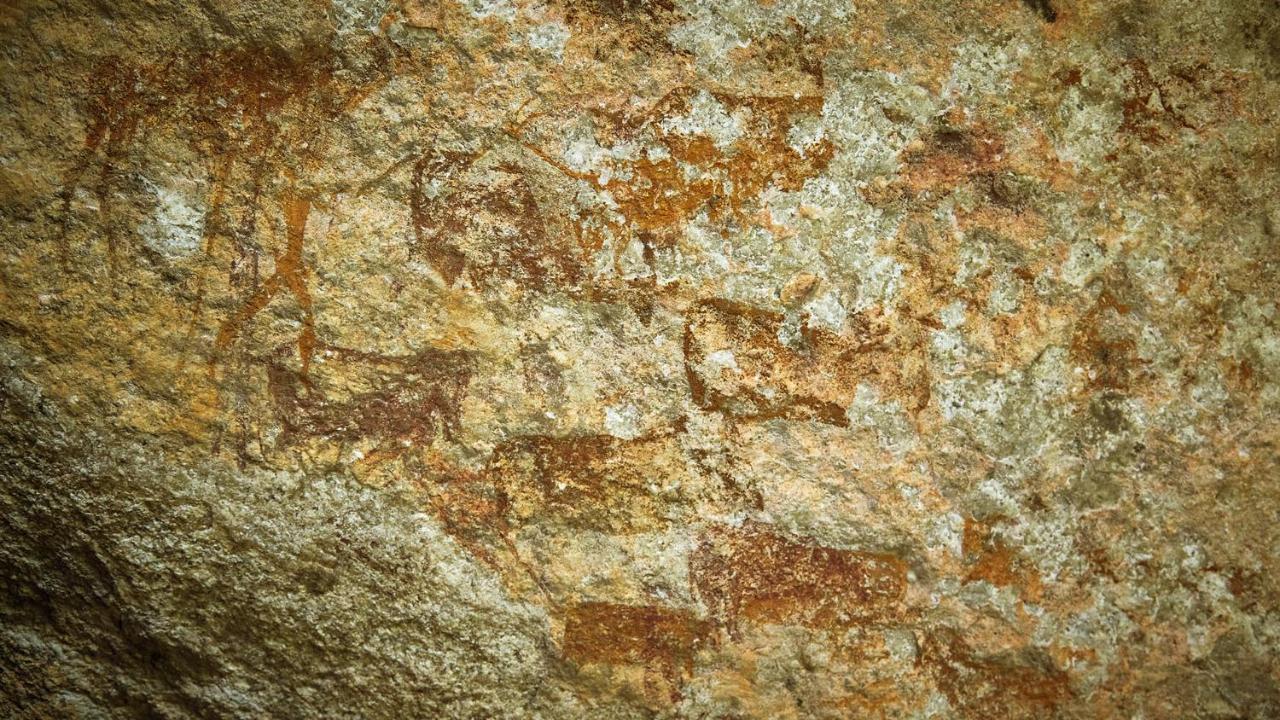 Nkomazi Game Reserve By Newmark Badplaas Zewnętrze zdjęcie