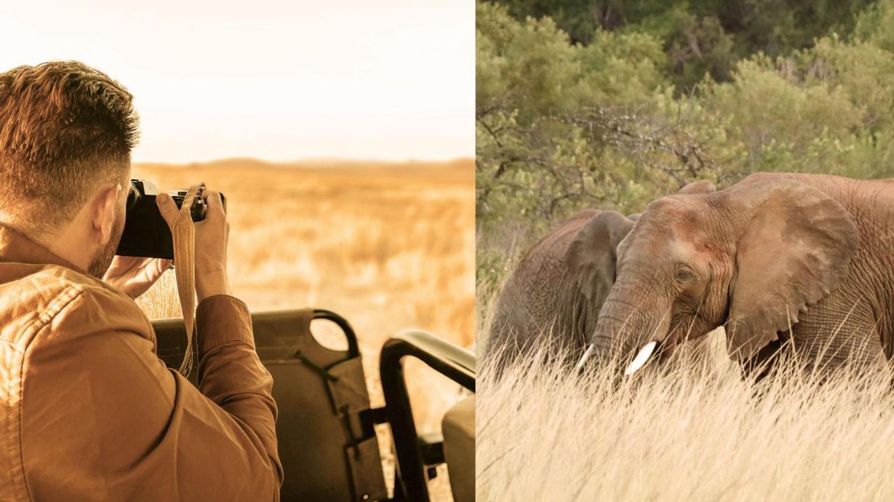 Nkomazi Game Reserve By Newmark Badplaas Zewnętrze zdjęcie
