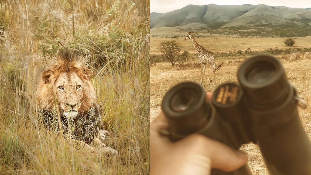 Nkomazi Game Reserve By Newmark Badplaas Zewnętrze zdjęcie