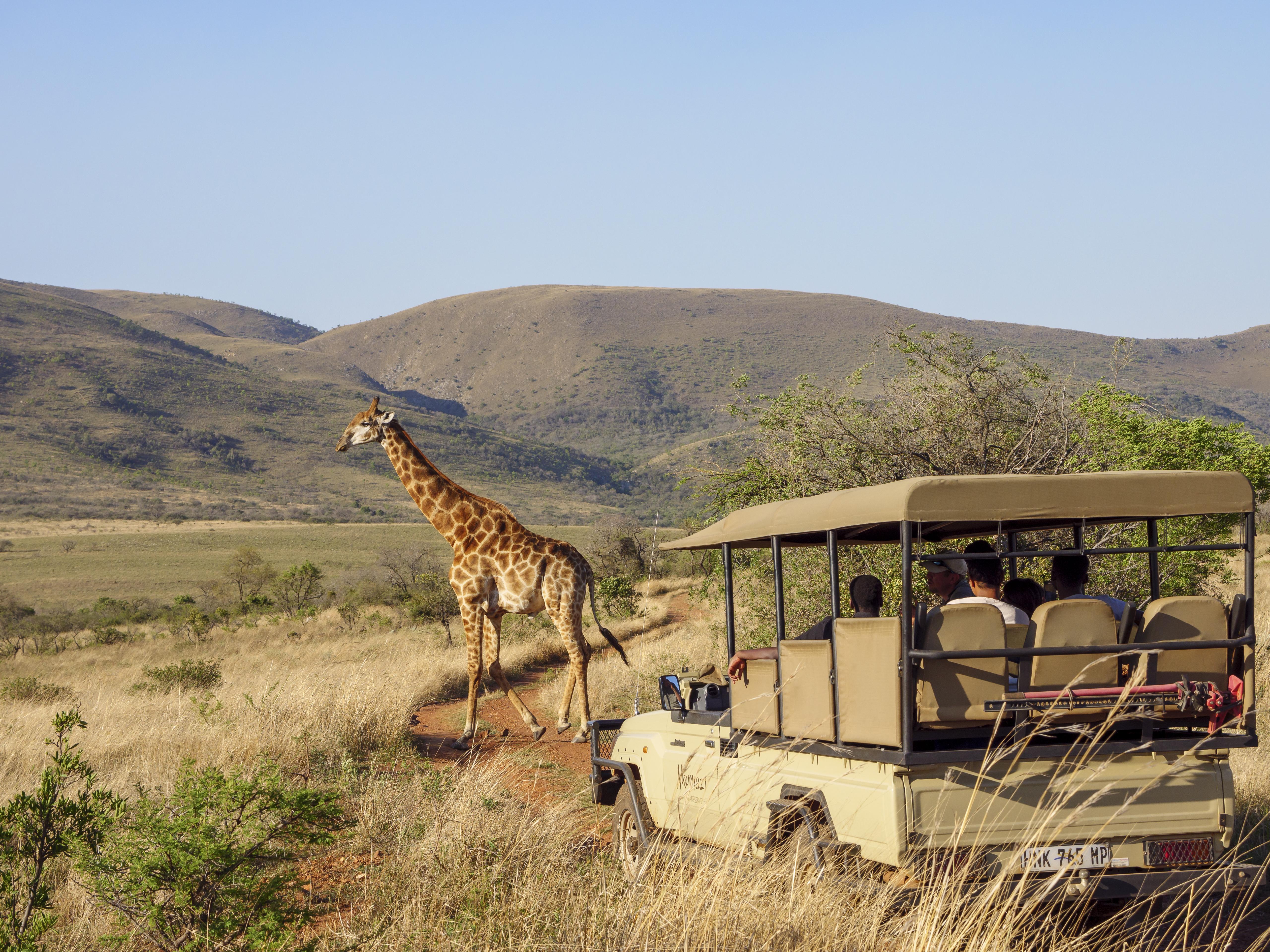 Nkomazi Game Reserve By Newmark Badplaas Zewnętrze zdjęcie